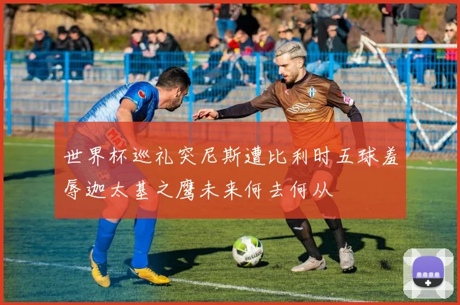 世界杯巡礼突尼斯遭比利时五球羞辱迦太基之鹰未来何去何从