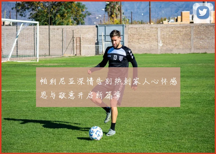 帕利尼亚深情告别热刺家人心怀感恩与敬意开启新篇章